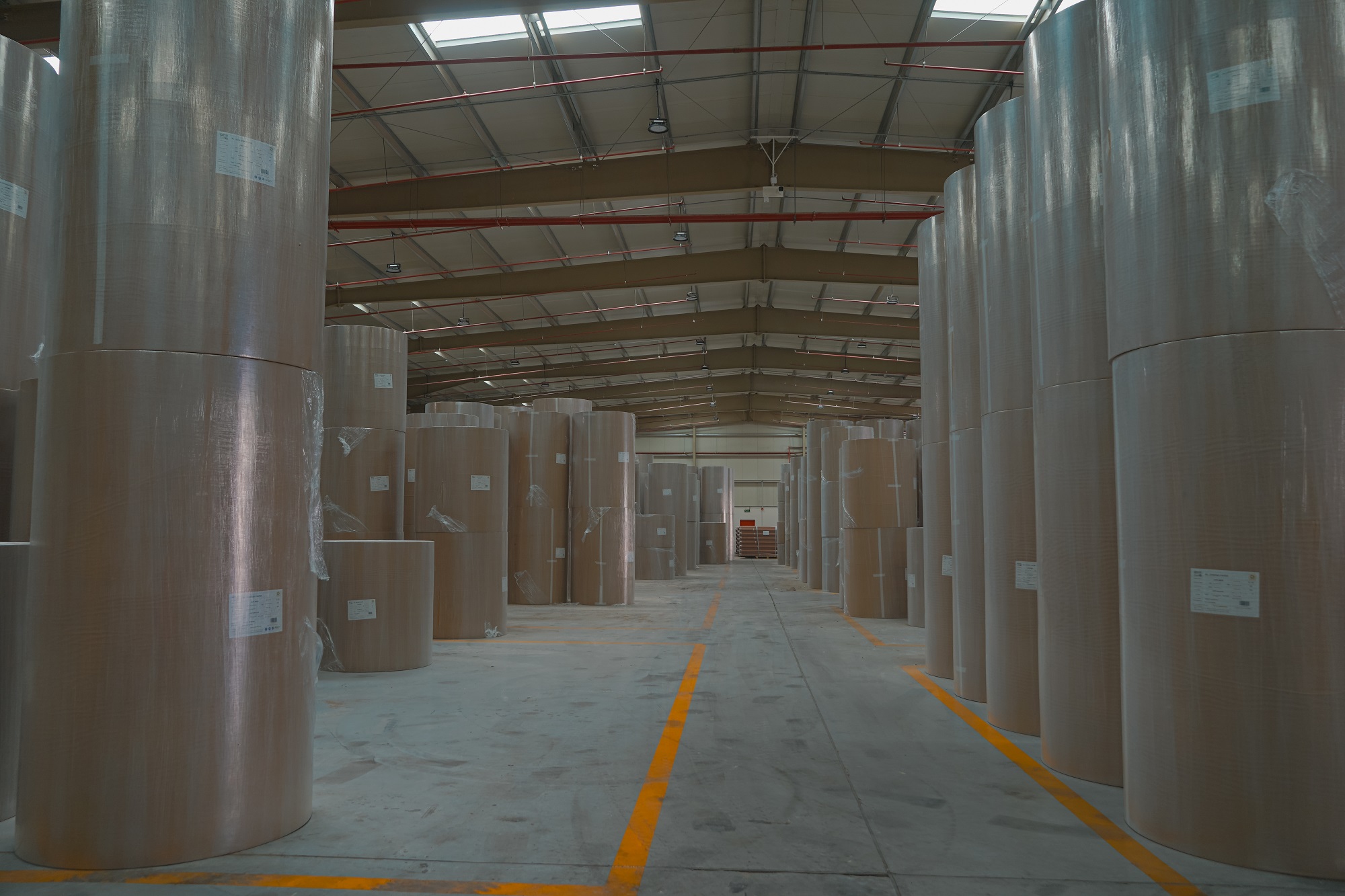 Packaging Paper Products